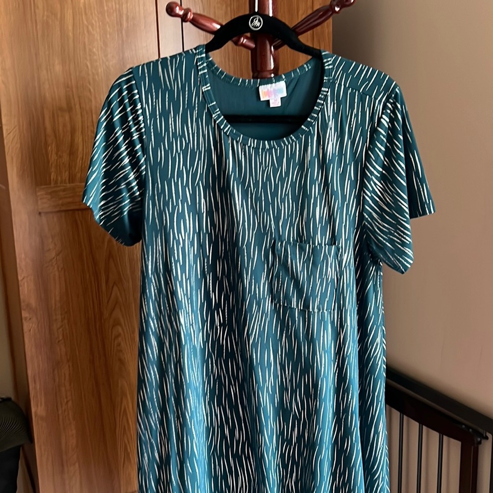 LuLaRoe Carly Medium teal and silver